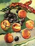 Still-life with peaches